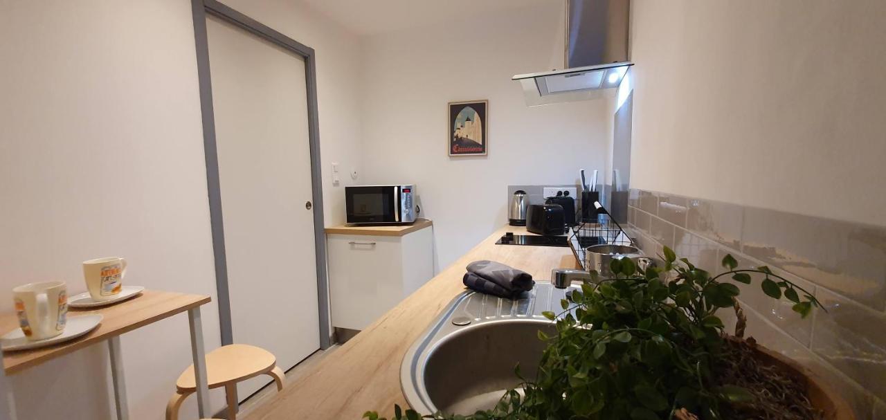 Studio Et Appartement A 2 Pas De La Cite Carcassonne Zewnętrze zdjęcie
